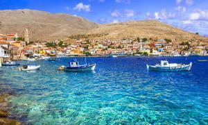 chalki dolphins